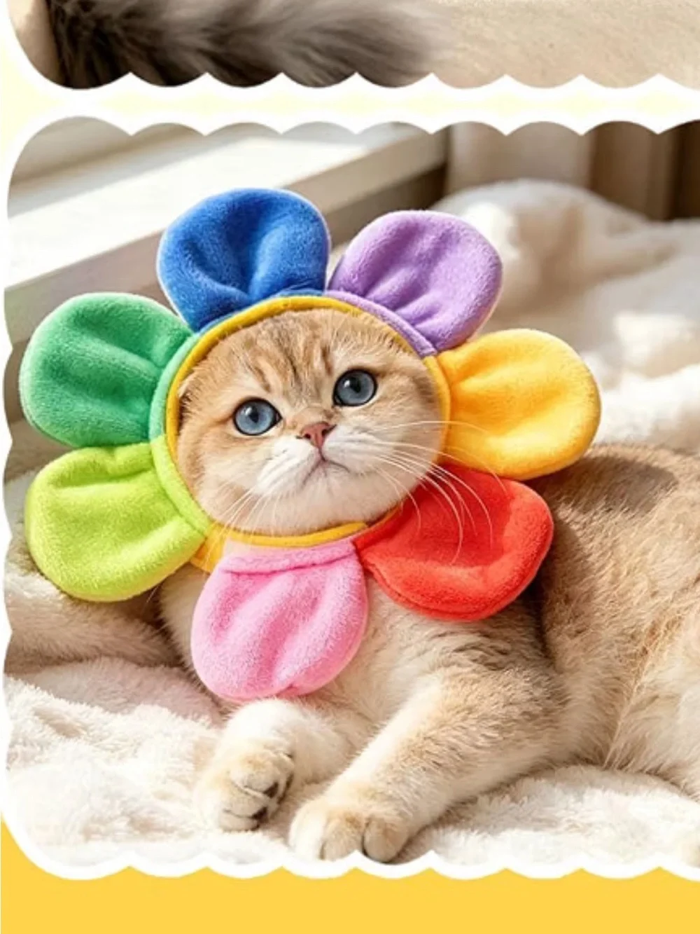 Misc Pet Stuff Bundle, Cat Dog Puppy Kitten, Brush Clothes Hat Can Lid Set of 4